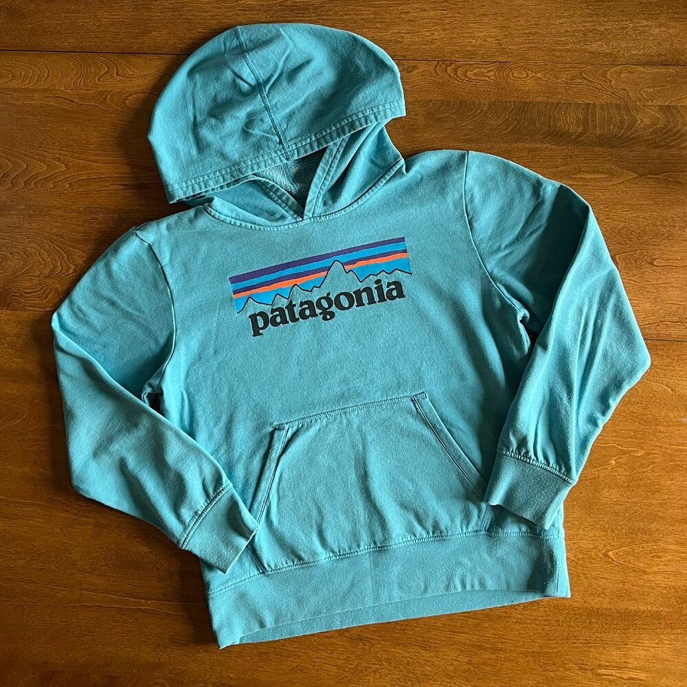 Patagonia teal blue logo hoodie XL 14